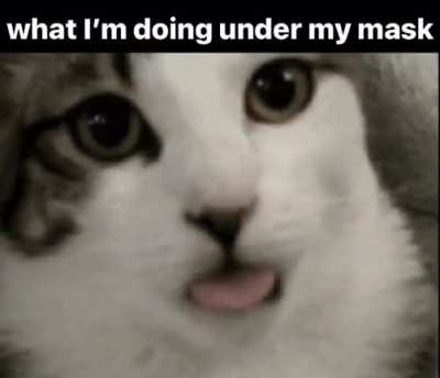 me_irl