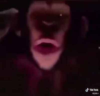 Pimp chimpin
