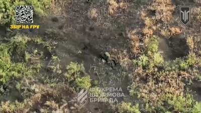 NSFW: Ukrainian 3rd Assault Brigade's UAV unit hit several Russian soldiers and infantry groups with FPV strike drones and corrected artil<wbr>lery/<wbr>morta<wbr>r fire on enemy positions. Kharkiv region, September 2024.