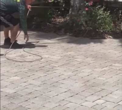Taking his pet for a walk