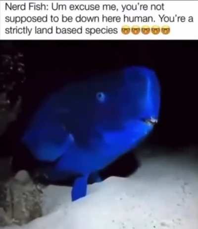 Bro's the species inspector