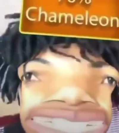 Chameleon