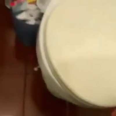 toilet rat
