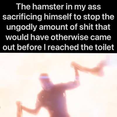 Tous les hamsters meurent horriblement. Certains meurent aussi héroïquement.