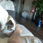 She forgot how to lick