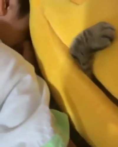 Looking real comfy
