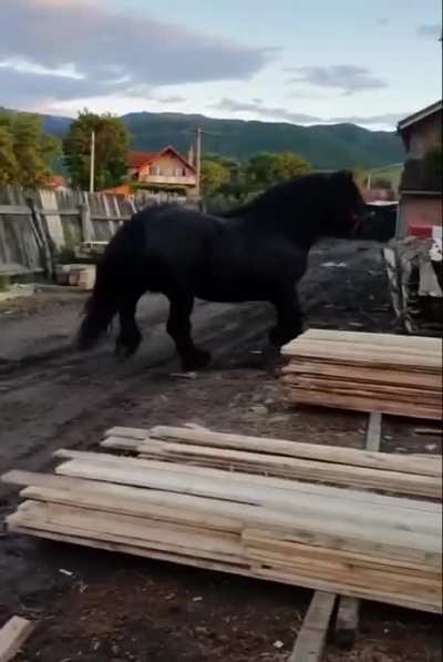 he just got a new haircut
