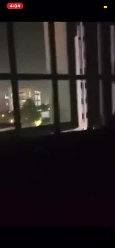 Man yells at Koel Bird