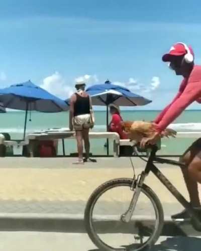 Meu pet