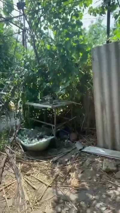 A Ukrainian drone pilot films his dugout, with a full complement of sleeping battle cats!