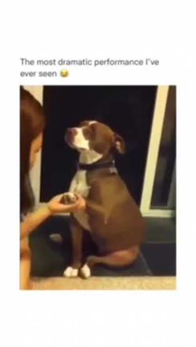 Doggy