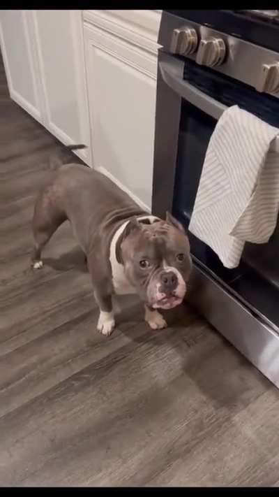 Not the towel!