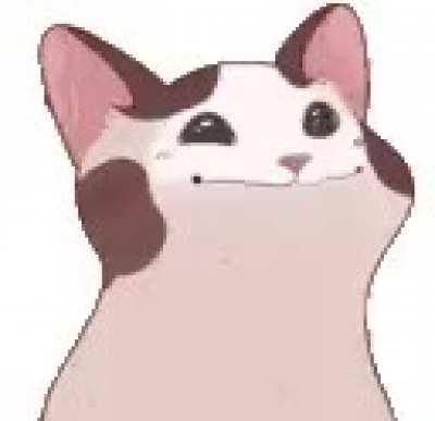Bop_irl