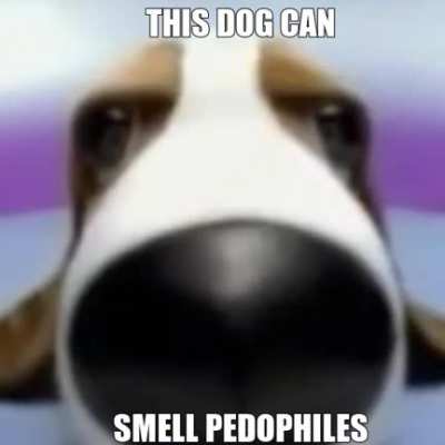 the dog has spoken, pyro