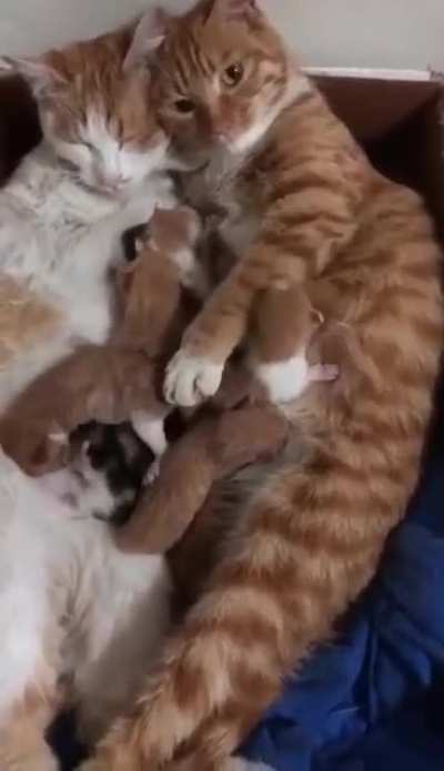 Best family forever....