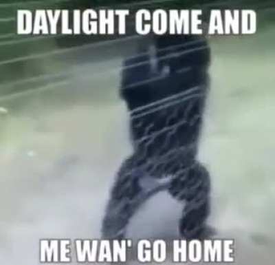 The new monke anthem