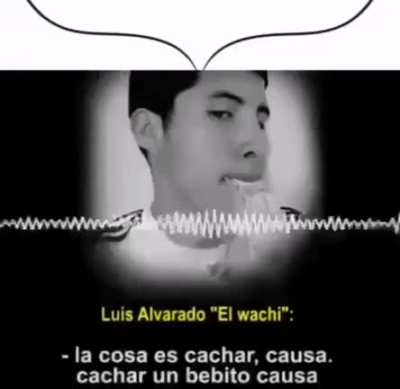 no mamen me juntaron con un furro XDDDDDDD