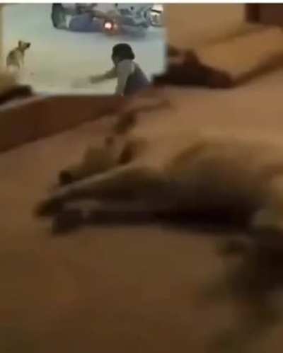 Soninho 😴😴