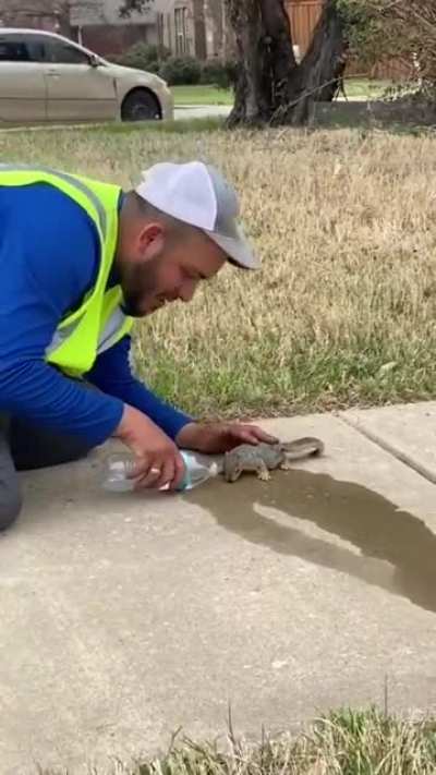 Giving a thirsty squirrel some water