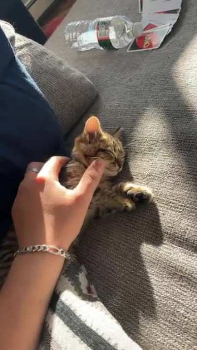 Just got her, name ideas?