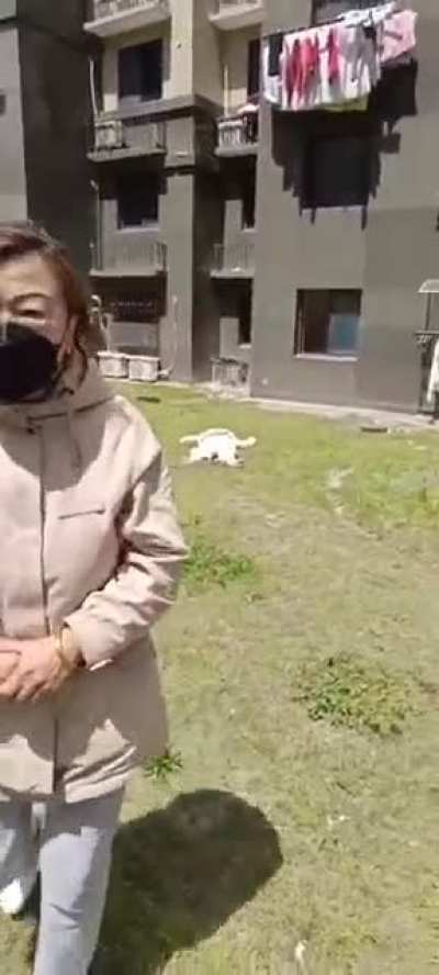 开献大白咯