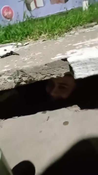 Está raro It