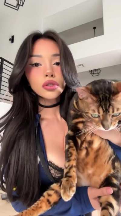 Cat Looks Miserable
