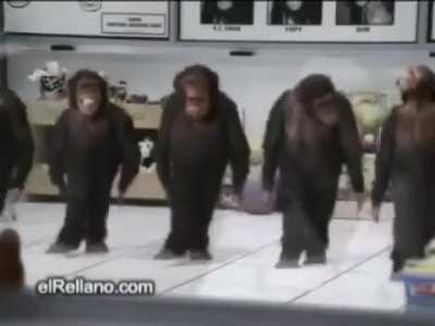 🐒🇲🇽🐒🇲🇽