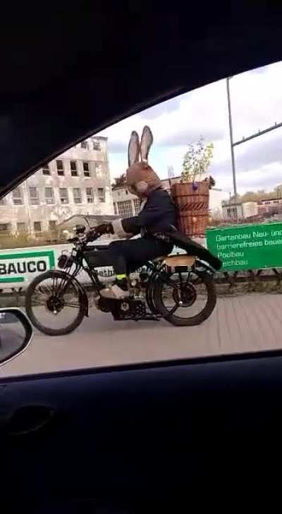ich🐇iel