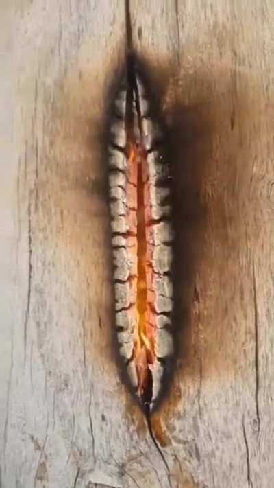 that pussy fire