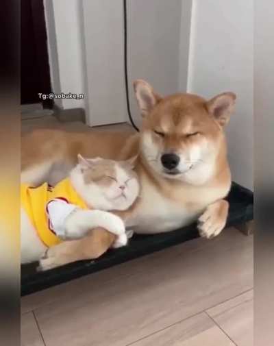Besties