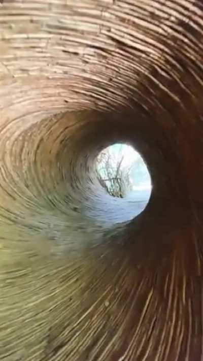 Portals in the jungle will lead you to wonderful places.