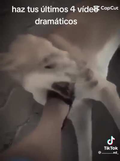 ð