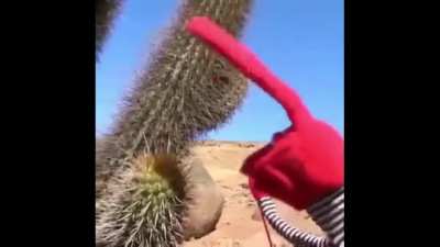 Best Interview Ever