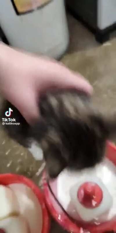 Caught red-handed