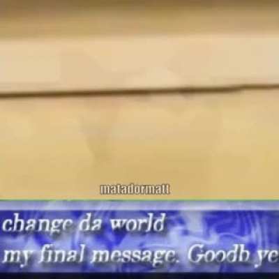 Cat's final message