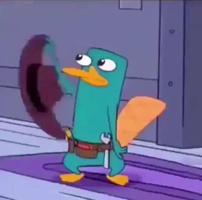 Par plat spy