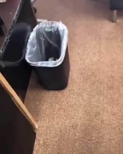 Get o-