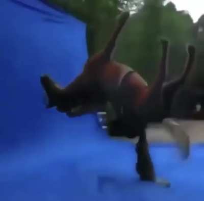 yes