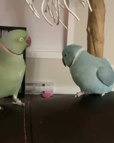 Love party with lot's of smoochies
