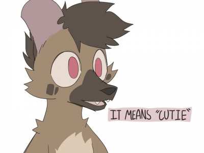 furry_irl