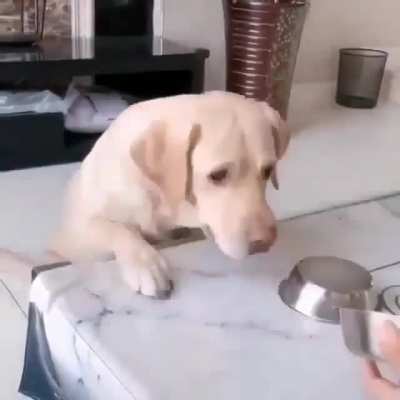 What the hell is this bamboozlery?!