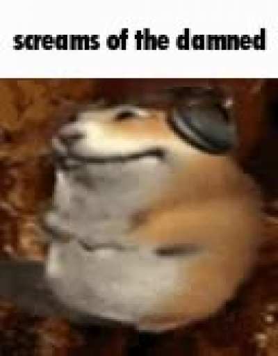 rule