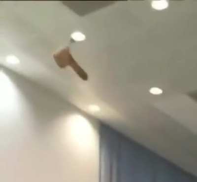 why fly dildo near garry chess?