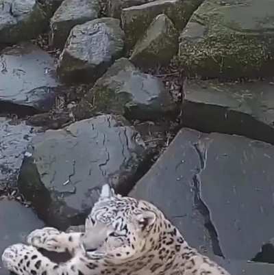 New cameras are scary!