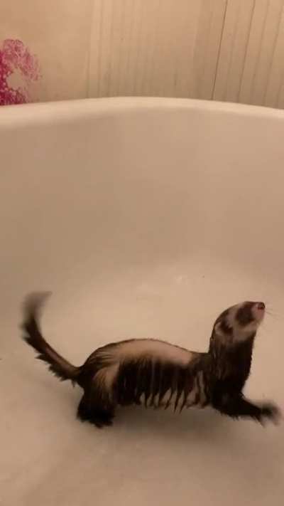 I turned the shower on for him and it made him do this… what is he doing here exactly?