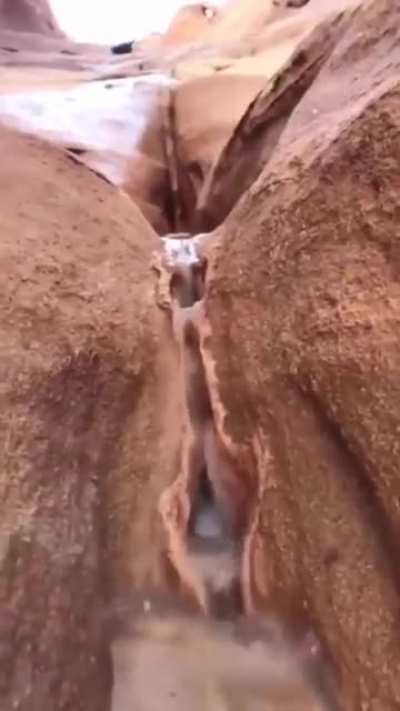 Nature is wild