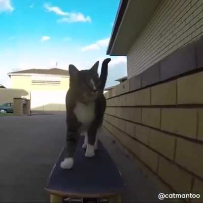 Хоба!