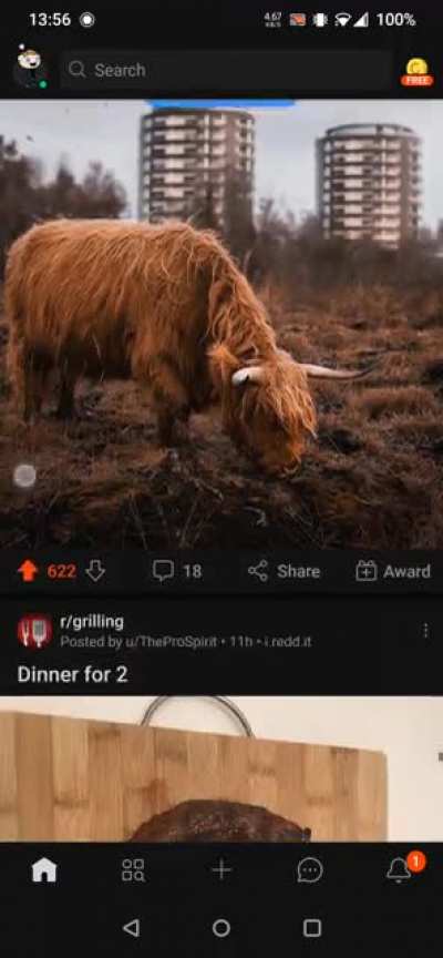 I love reddit😂