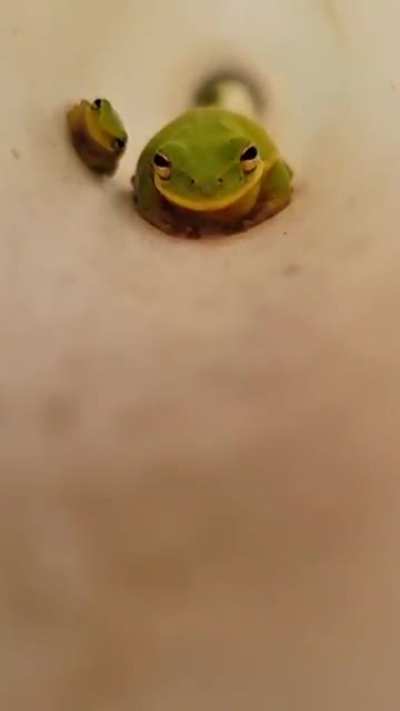 cute-